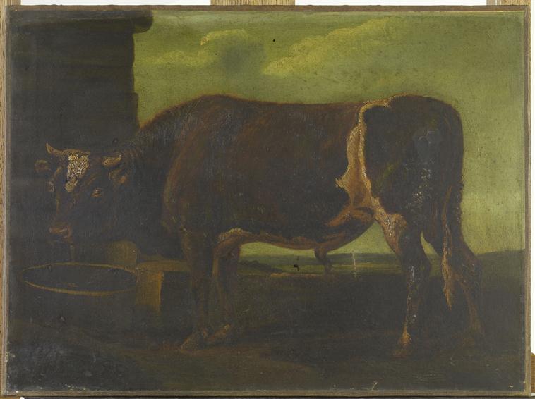 TAUREAU S'ABREUVANT, Jacques Raymond Brascassat, 3e quart 19e siècle