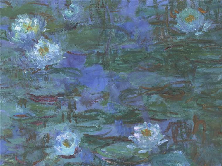 Nymphéas bleus_1