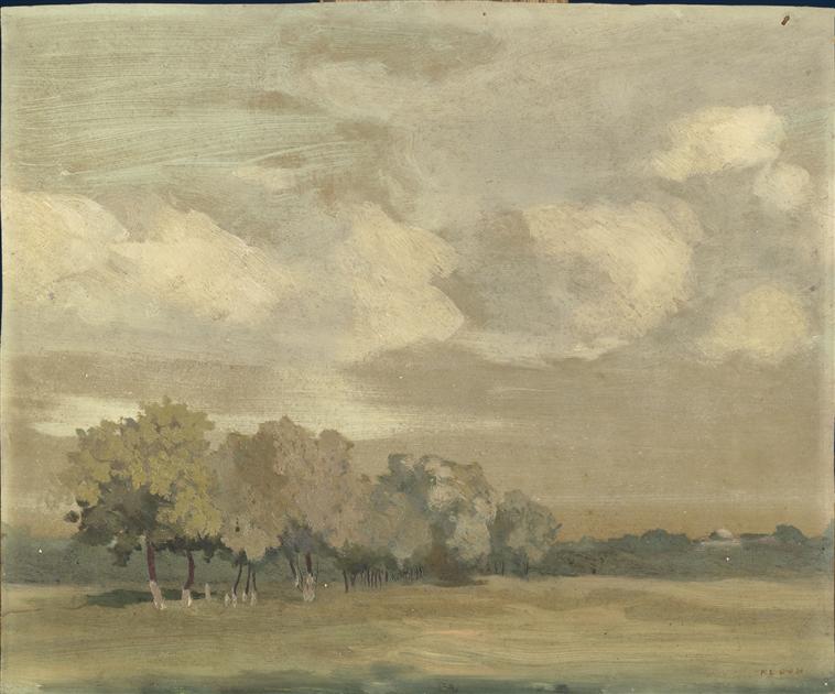 Medoc.arbres dans la prairie_0