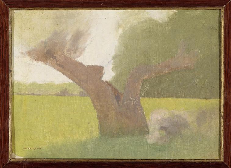 Vieil arbre, dans une prairie_0