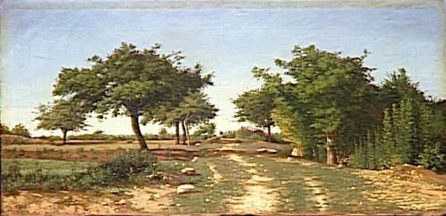 PAYSAGE ; CHEMIN SOUS LES POMMIERS_0