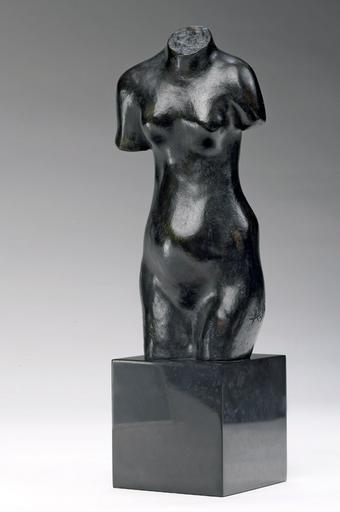 TORSE FEMININ, DIT A_0