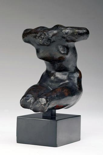 TORSE FEMININ ASSIS, DIT TORSE ASSIS A_0