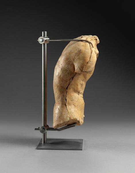 TORSE MASCULIN, DIT 748_2