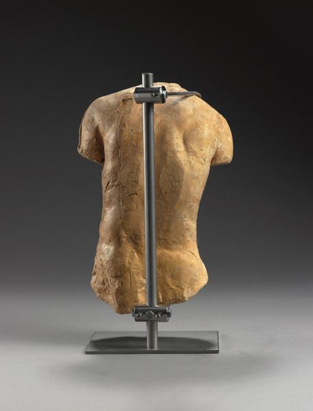 TORSE MASCULIN, DIT 748_4