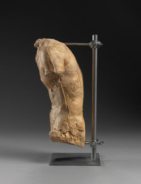 TORSE MASCULIN, DIT 748_5
