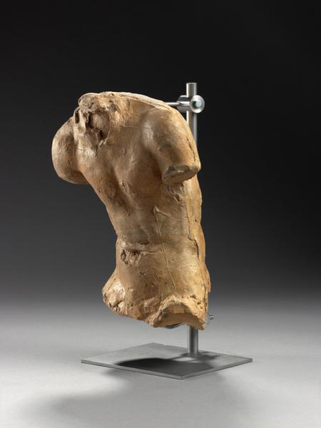 TORSE MASCULIN, DIT 748_6