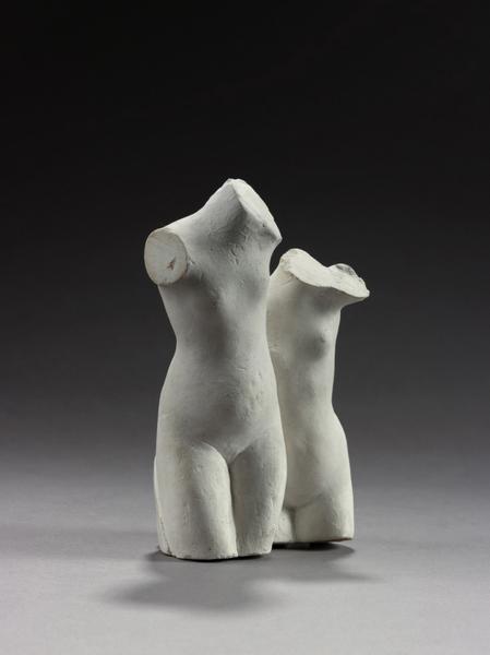 ASSEMBLAGE : DOUBLE TORSE FEMININ_1