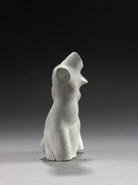 ASSEMBLAGE : DOUBLE TORSE FEMININ_2