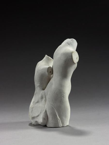 ASSEMBLAGE : DOUBLE TORSE FEMININ_3
