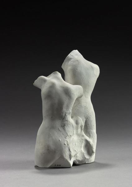 ASSEMBLAGE : DOUBLE TORSE FEMININ_4