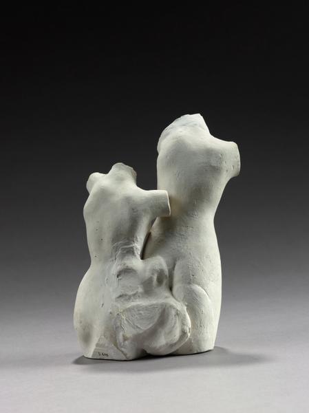 ASSEMBLAGE : DOUBLE TORSE FEMININ_5