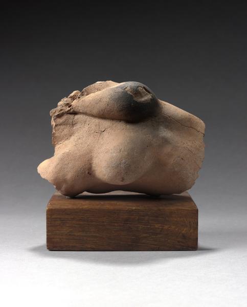 TORSE FEMININ COUCHE_0