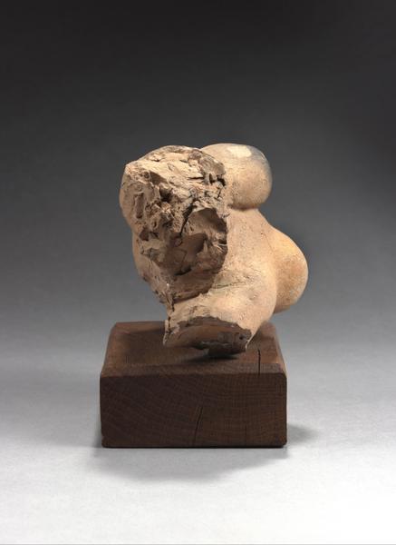 TORSE FEMININ COUCHE_2