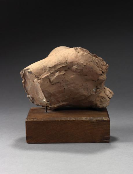 TORSE FEMININ COUCHE_4