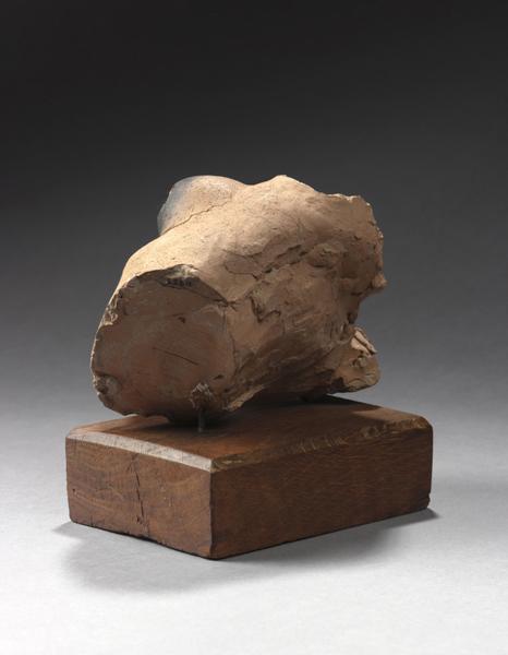 TORSE FEMININ COUCHE_5