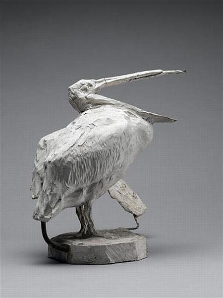 PELICAN_2