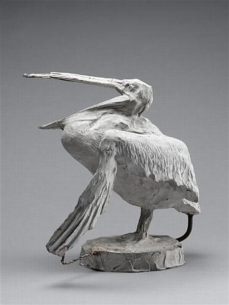 PELICAN_3