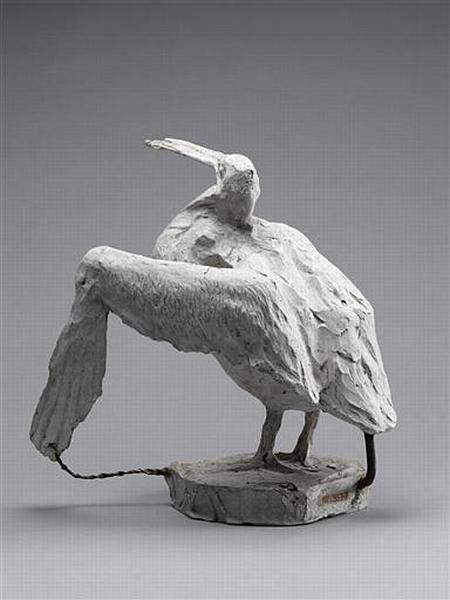 PELICAN_4