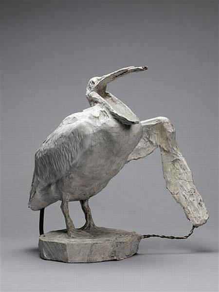 PELICAN_0
