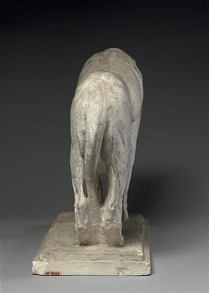 LION D'AFRIQUE ; LION ASSYRIEN_1