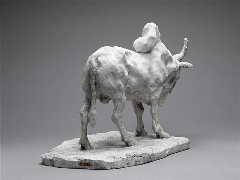 ZEBU_3