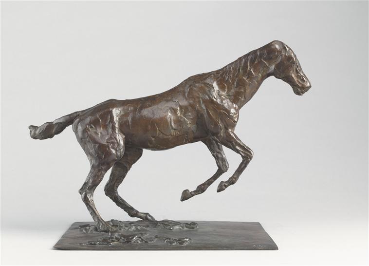 CHEVAL S'ENLEVANT SUR L'OBSTACLE_0