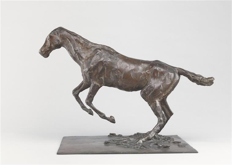 CHEVAL S'ENLEVANT SUR L'OBSTACLE_1