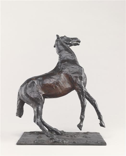 CHEVAL SE CABRANT_0