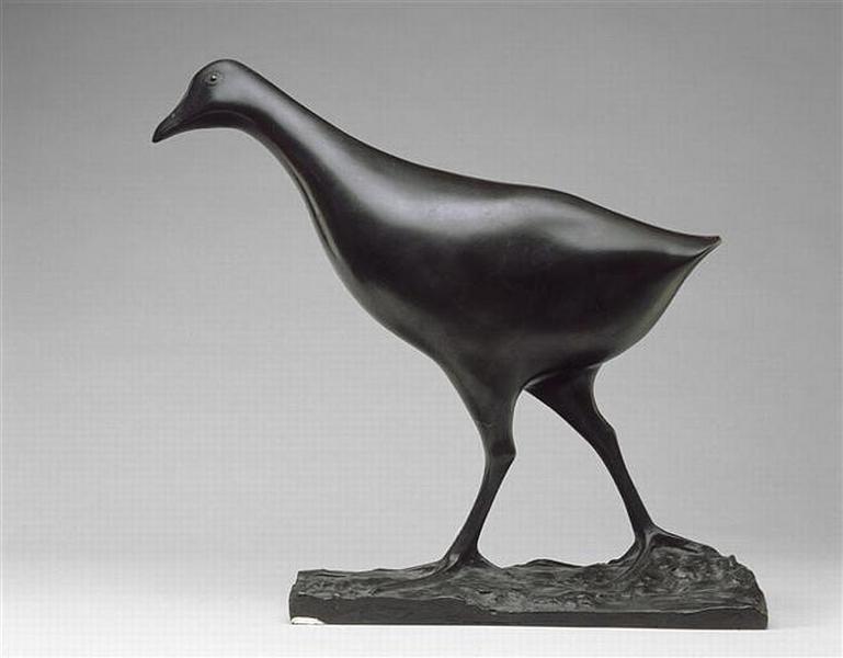 Poule d'eau_0
