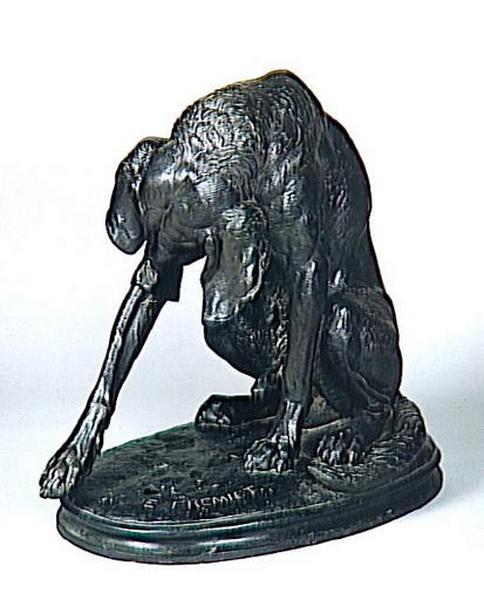 CHIEN BLESSE_0