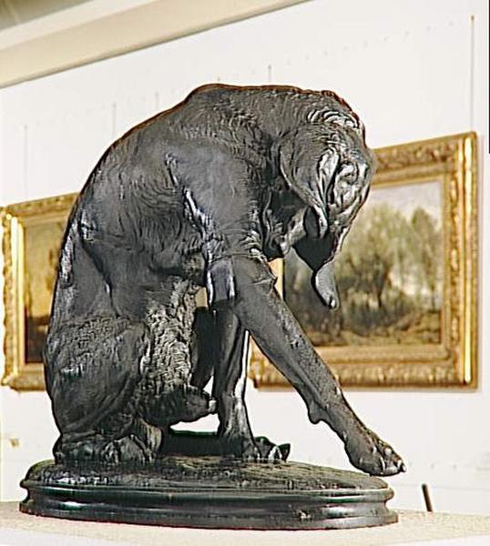 CHIEN BLESSE_1
