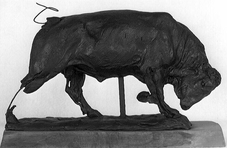 Un taureau_0