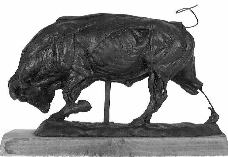 Un taureau_1
