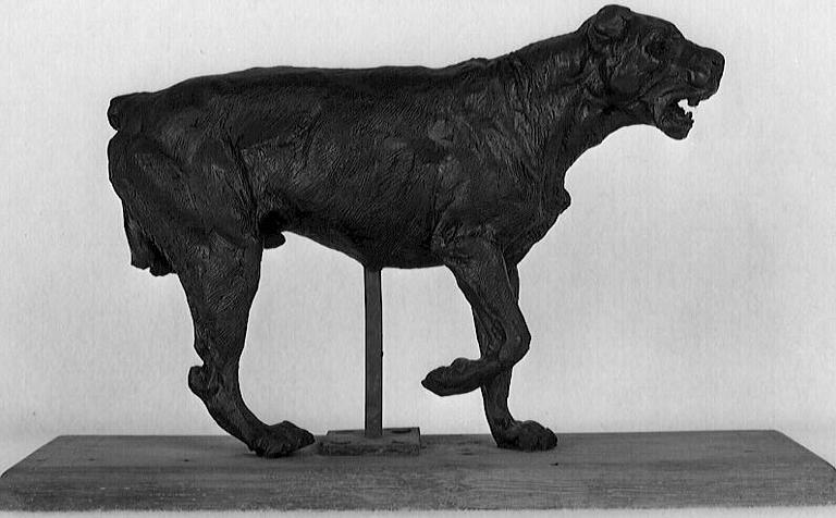 Un chien_1