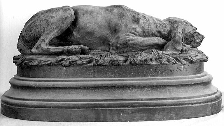 Chien couché_1