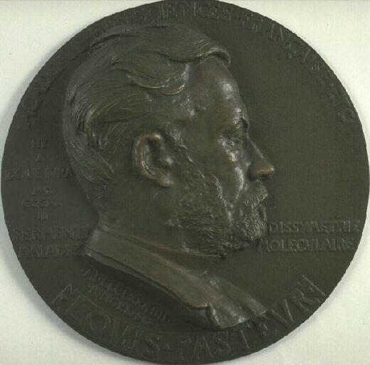 Portrait de Louis Pasteur, Jean Désiré Ringel D'illzach, 1884
