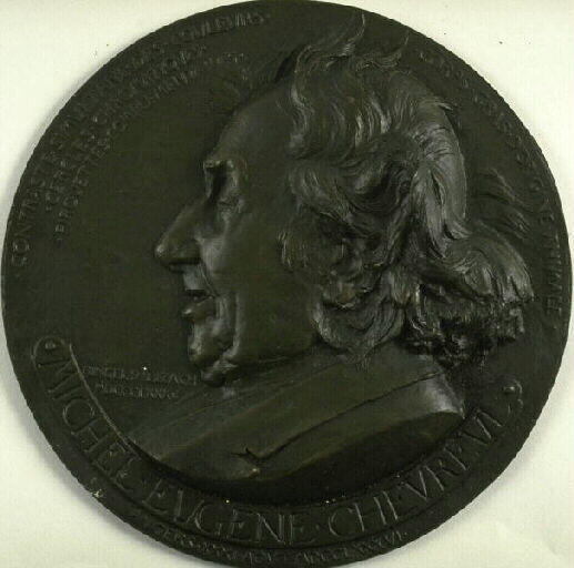 Profil gauche de Michel Eugène Chevreul, membre de l'Académie des Sciences (1786-1889)_0