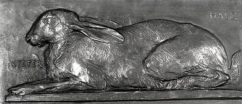 LIEVRE COUCHE, HASE_0