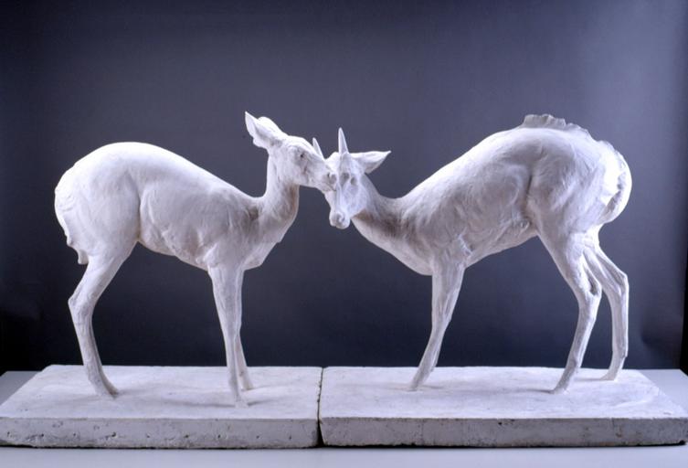Mes antilopes_0