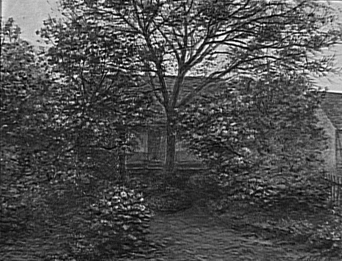 Mon jardin (Fegersheim) ; Mein Garten (Traduction)_0