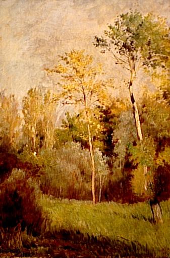 Forêt au printemps_0