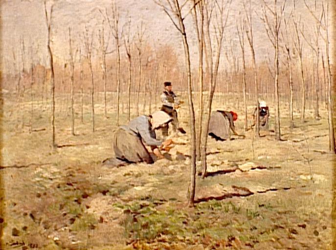 Paysage ; Baumpflanzer (Titre attribué)_0