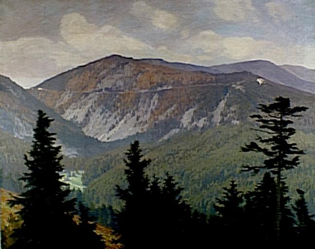 Vue du col de la Schlucht_0