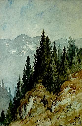 Paysage de montagne, Glion_0