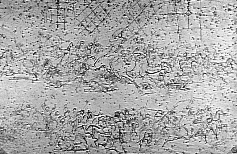 Combat de cavaliers africains_0