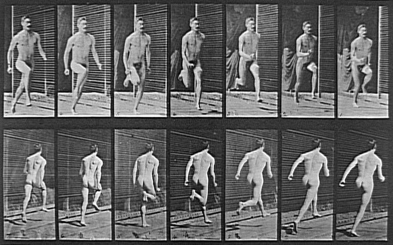 Animal Locomotion, Plate. 66_0