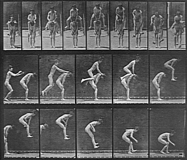 Animal Locomotion, Plate. 167_0