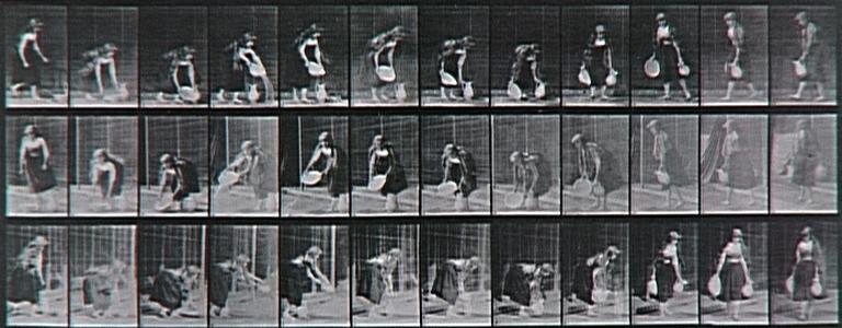 Animal Locomotion, Plate. 234_0