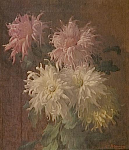 Bouquet de chrysanthèmes_0